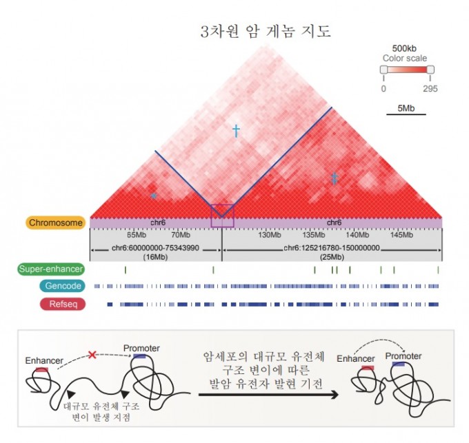 KAIST 제공